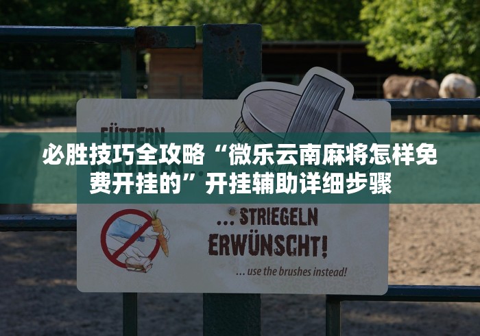 必胜技巧全攻略“微乐云南麻将怎样免费开挂的”开挂辅助详细步骤