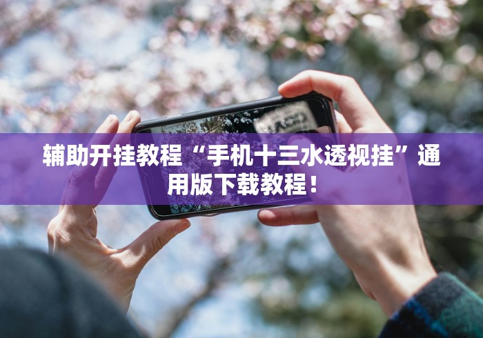 辅助开挂教程“手机十三水透视挂”通用版下载教程！