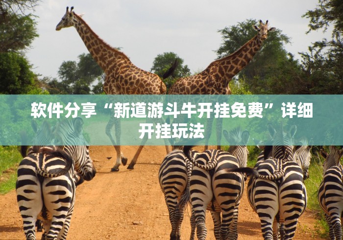 软件分享“新道游斗牛开挂免费”详细开挂玩法