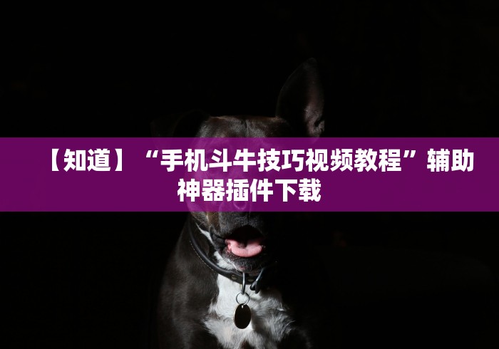 【知道】“手机斗牛技巧视频教程”辅助神器插件下载