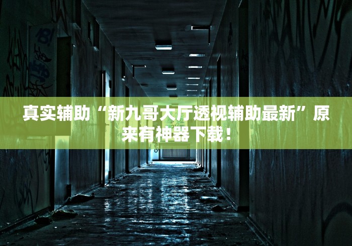 真实辅助“新九哥大厅透视辅助最新”原来有神器下载！