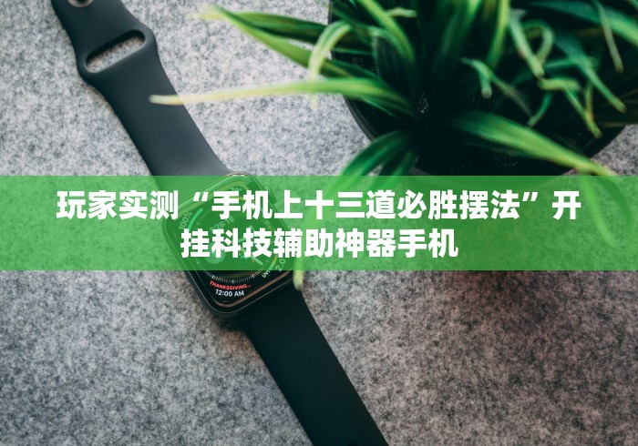 玩家实测“手机上十三道必胜摆法	”开挂科技辅助神器手机