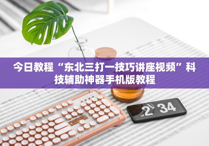 今日教程“东北三打一技巧讲座视频	”科技辅助神器手机版教程