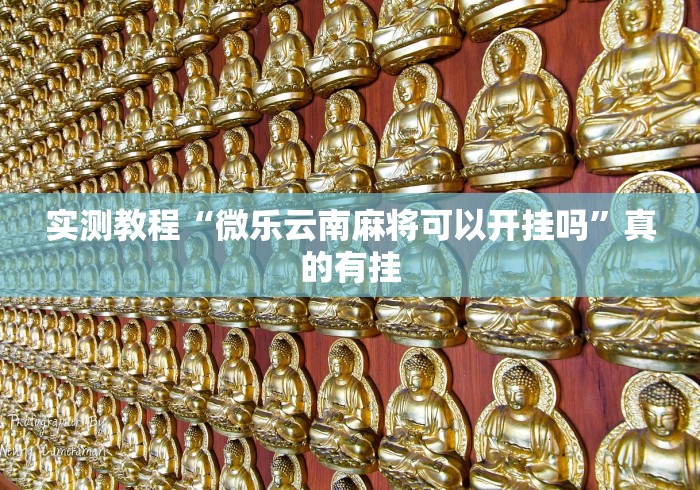 实测教程“微乐云南麻将可以开挂吗	”真的有挂