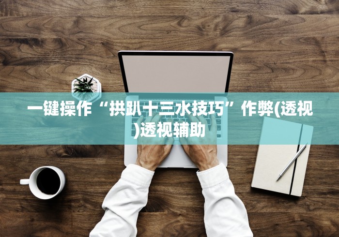 一键操作“拱趴十三水技巧”作弊(透视)透视辅助