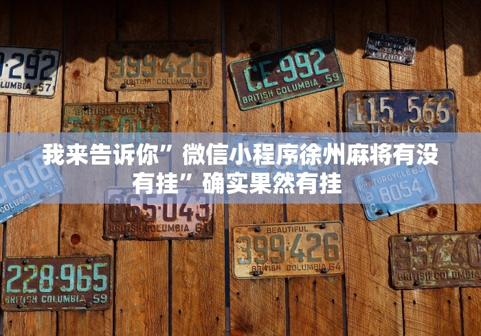 我来告诉你	”微信小程序徐州麻将有没有挂”确实果然有挂 