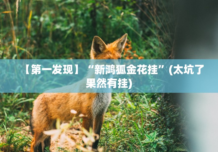 【第一发现】“新鸿狐金花挂”(太坑了果然有挂)