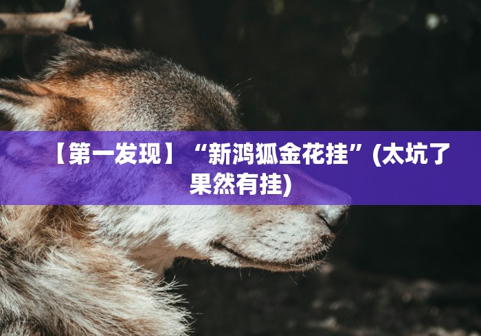 【第一发现】“新鸿狐金花挂”(太坑了果然有挂)