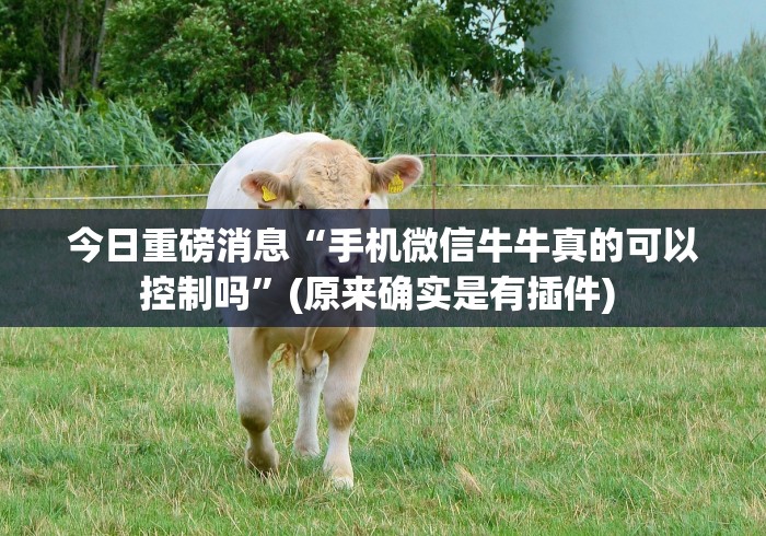 今日重磅消息“手机微信牛牛真的可以控制吗”(原来确实是有插件) 