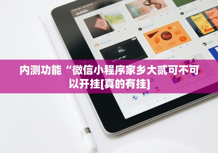 内测功能“微信小程序家乡大贰可不可以开挂[真的有挂]