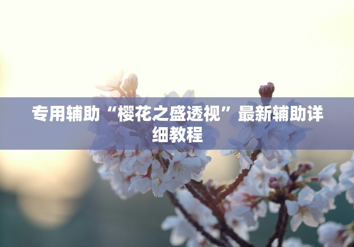 专用辅助“樱花之盛透视”最新辅助详细教程