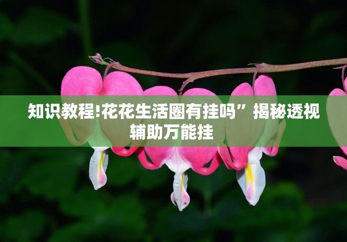 知识教程!花花生活圈有挂吗	”揭秘透视辅助万能挂 