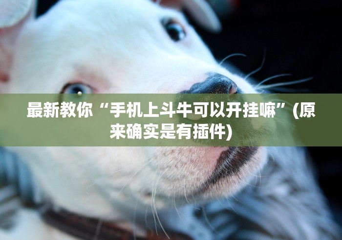 最新教你“手机上斗牛可以开挂嘛”(原来确实是有插件)