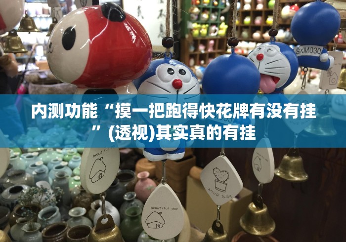 内测功能“摸一把跑得快花牌有没有挂”(透视)其实真的有挂