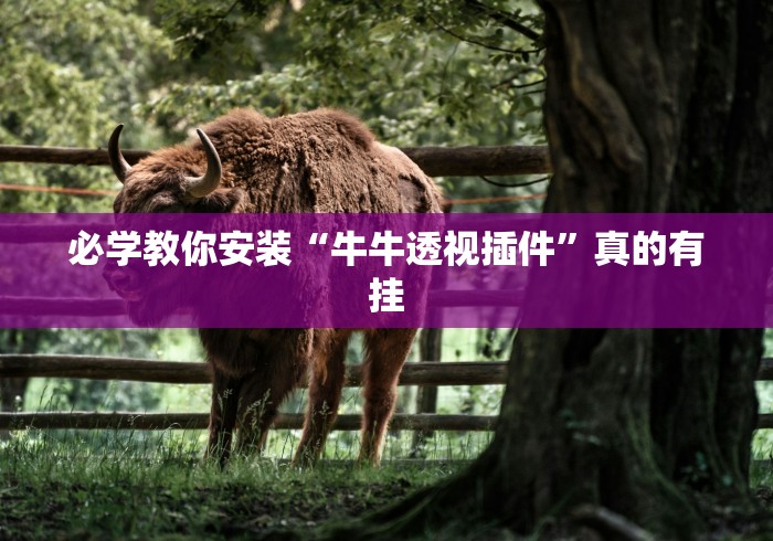 必学教你安装“牛牛透视插件”真的有挂