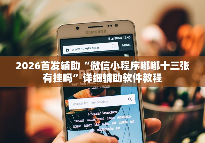 2026首发辅助“微信小程序嘟嘟十三张有挂吗”详细辅助软件教程