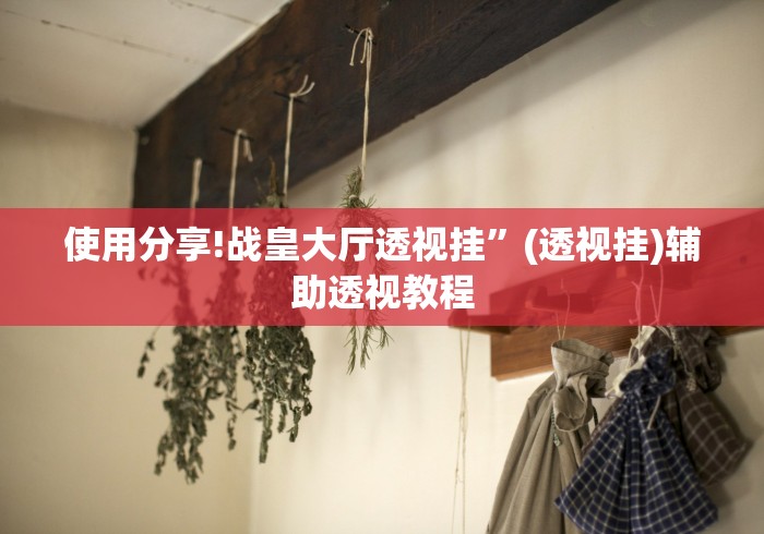 使用分享!战皇大厅透视挂”(透视挂)辅助透视教程