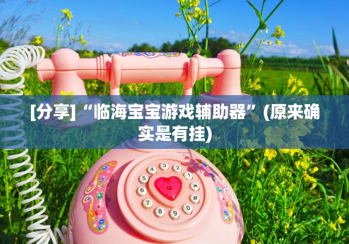 [分享]“临海宝宝游戏辅助器”(原来确实是有挂)