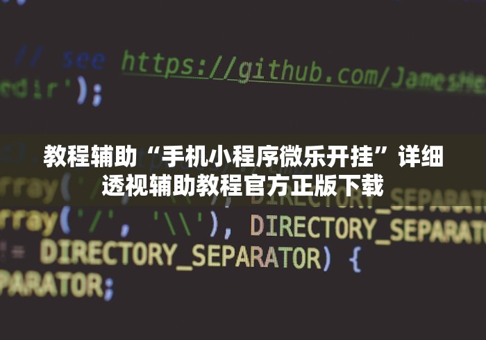 教程辅助“手机小程序微乐开挂”详细透视辅助教程官方正版下载
