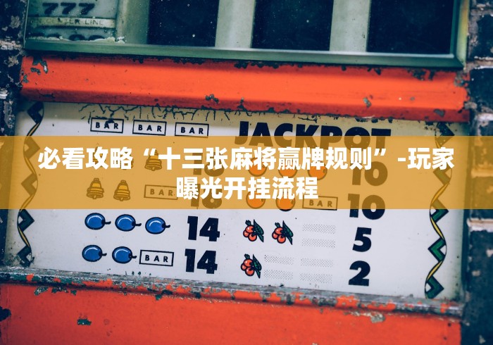 必看攻略“十三张麻将赢牌规则	”-玩家曝光开挂流程