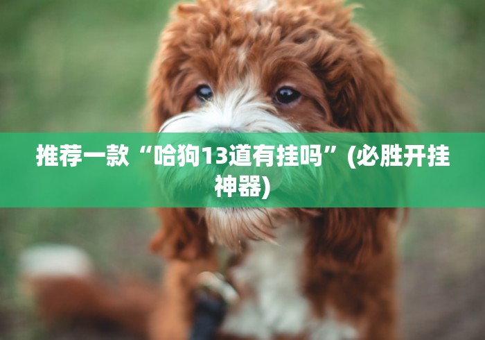 推荐一款“哈狗13道有挂吗”(必胜开挂神器)