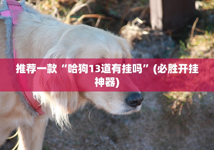 推荐一款“哈狗13道有挂吗	”(必胜开挂神器)