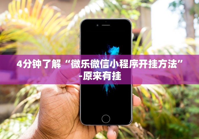 4分钟了解“微乐微信小程序开挂方法”-原来有挂