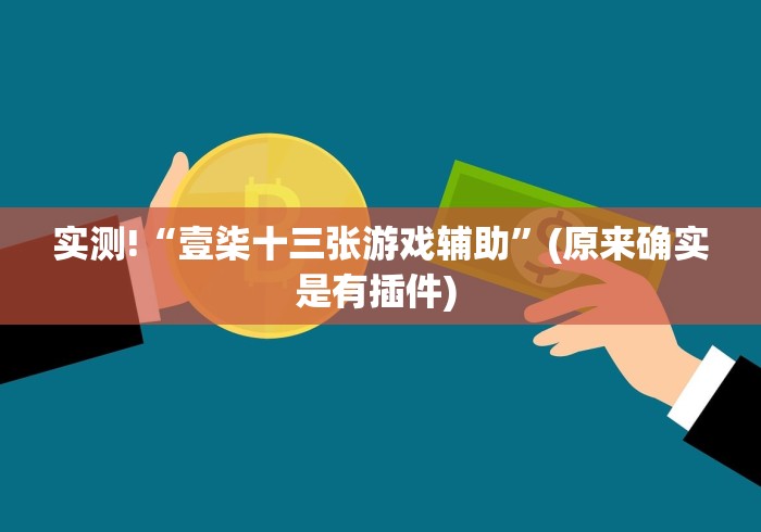 实测!“壹柒十三张游戏辅助”(原来确实是有插件) 