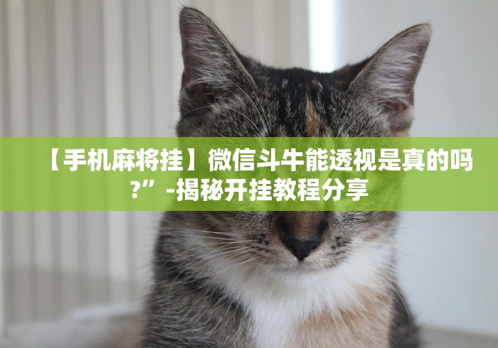 【手机麻将挂】微信斗牛能透视是真的吗?”-揭秘开挂教程分享