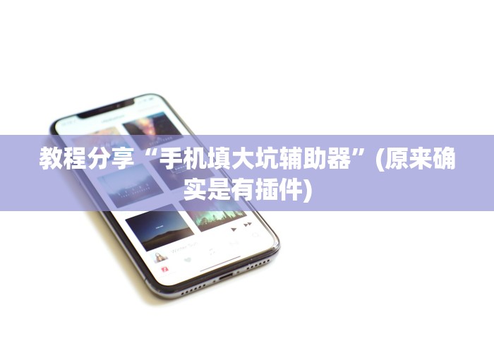 教程分享“手机填大坑辅助器”(原来确实是有插件)
