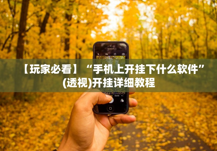 【玩家必看】“手机上开挂下什么软件”(透视)开挂详细教程