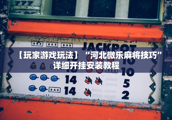 【玩家游戏玩法】“河北微乐麻将技巧”详细开挂安装教程