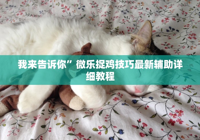 我来告诉你”微乐捉鸡技巧最新辅助详细教程
