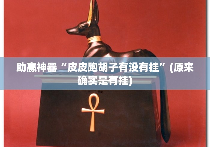 助赢神器“皮皮跑胡子有没有挂”(原来确实是有挂)