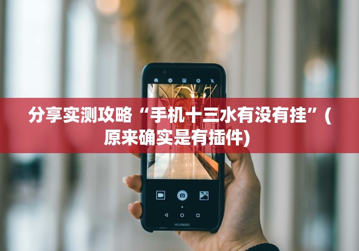 分享实测攻略“手机十三水有没有挂”(原来确实是有插件) 