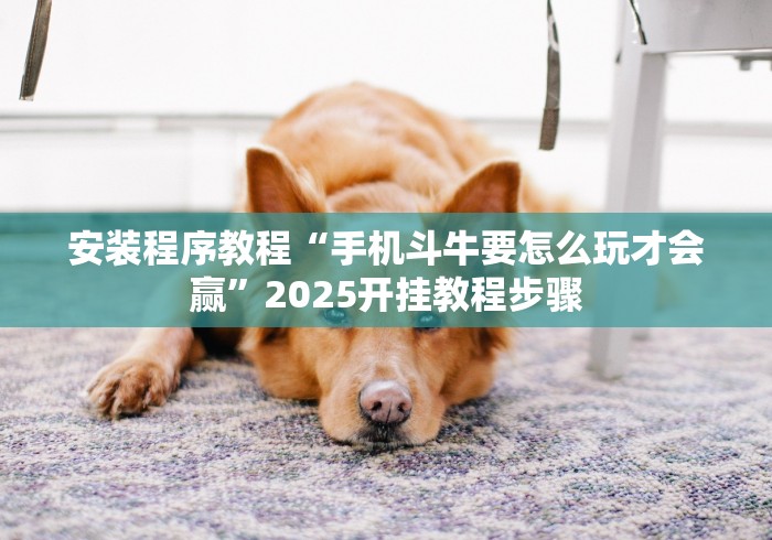 安装程序教程“手机斗牛要怎么玩才会赢	”2025开挂教程步骤