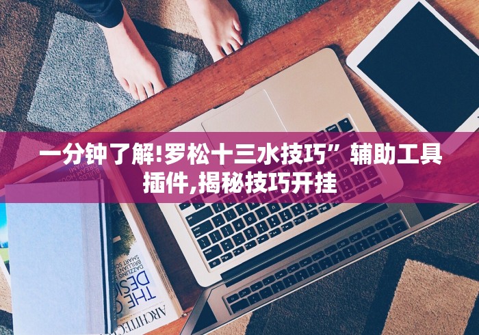 一分钟了解!罗松十三水技巧	”辅助工具插件,揭秘技巧开挂