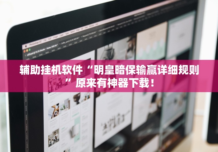 辅助挂机软件“明皇暗保输赢详细规则”原来有神器下载！
