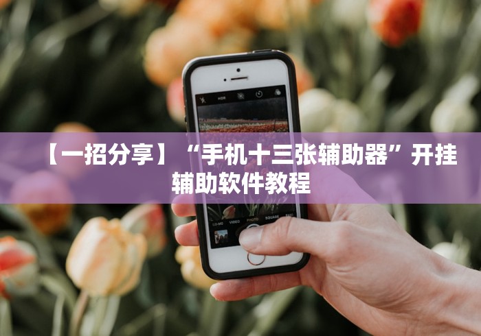 【一招分享】“手机十三张辅助器	”开挂辅助软件教程