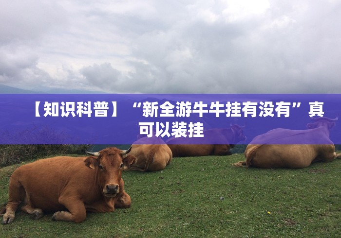 【知识科普】“新全游牛牛挂有没有	”真可以装挂