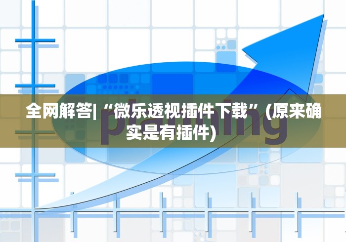 全网解答|“微乐透视插件下载”(原来确实是有插件) 