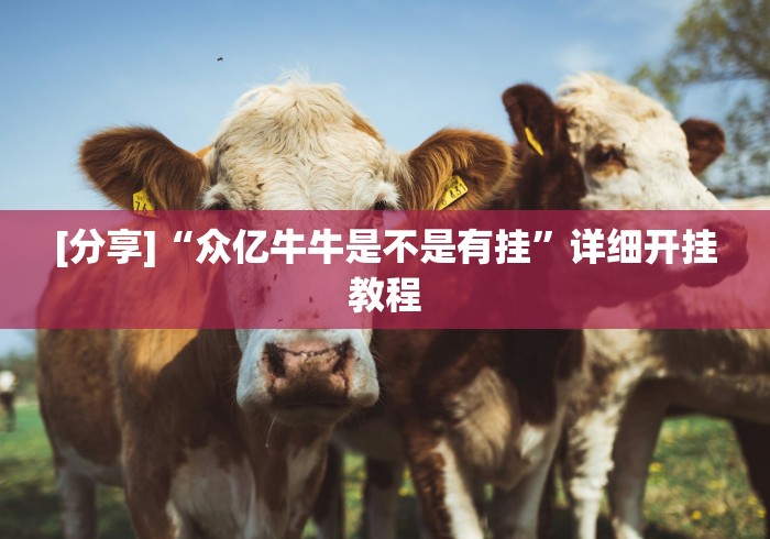 [分享]“众亿牛牛是不是有挂	”详细开挂教程