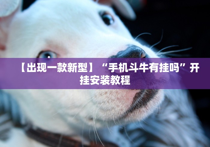 【出现一款新型】“手机斗牛有挂吗	”开挂安装教程