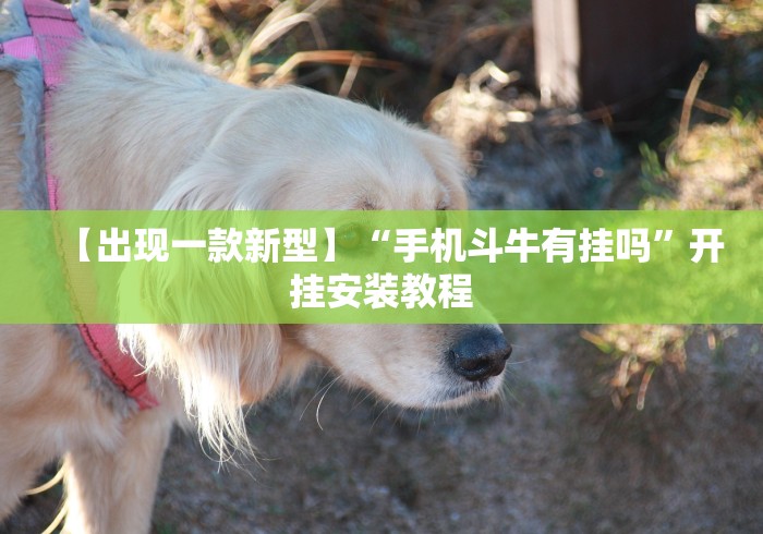 【出现一款新型】“手机斗牛有挂吗”开挂安装教程