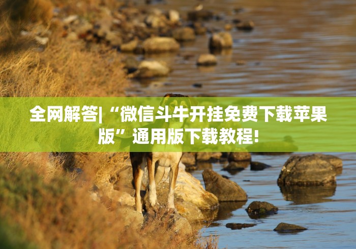 全网解答|“微信斗牛开挂免费下载苹果版”通用版下载教程!