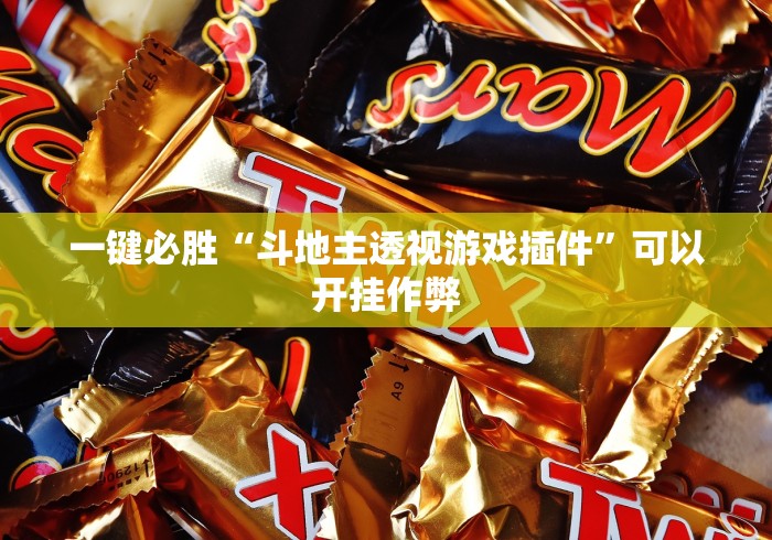 一键必胜“斗地主透视游戏插件	”可以开挂作弊