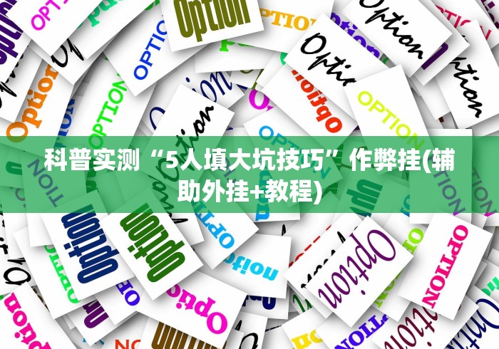 科普实测“5人填大坑技巧”作弊挂(辅助外挂+教程)