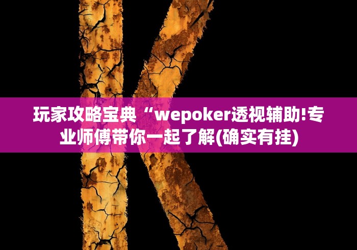 玩家攻略宝典“wepoker透视辅助!专业师傅带你一起了解(确实有挂)