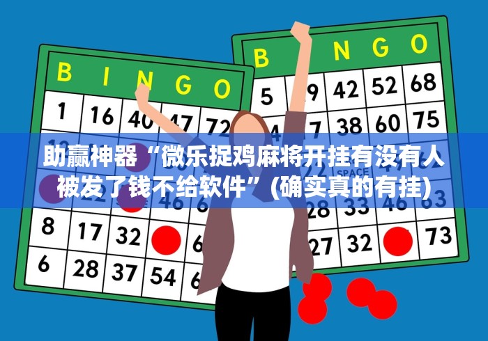 助赢神器“微乐捉鸡麻将开挂有没有人被发了钱不给软件”(确实真的有挂)