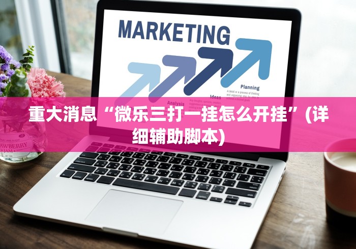 重大消息“微乐三打一挂怎么开挂”(详细辅助脚本)